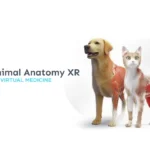 Animal Anatomy XR