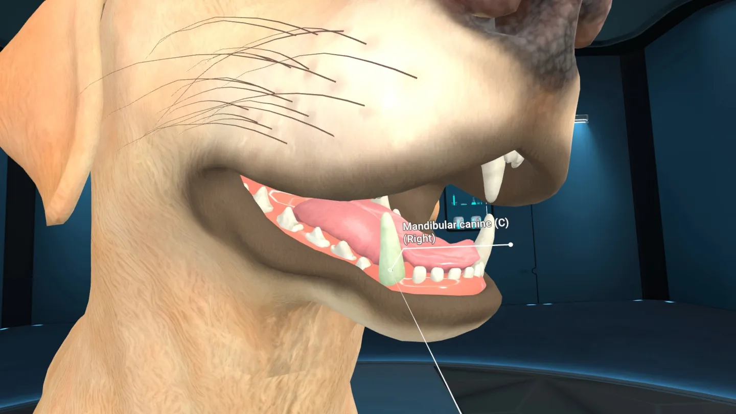 Animal Anatomy XR 2 Animal Anatomy XR تصویر 2