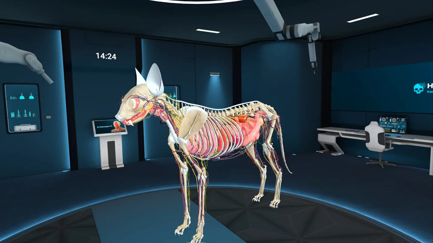Animal Anatomy XR 4 Animal Anatomy XR تصویر 4