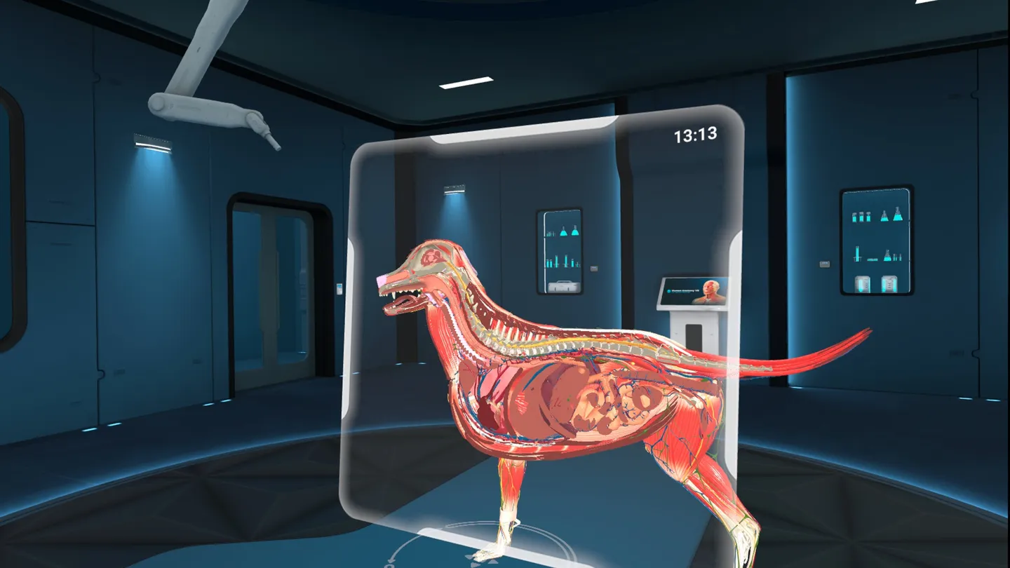 Animal Anatomy XR 3 Animal Anatomy XR تصویر 3
