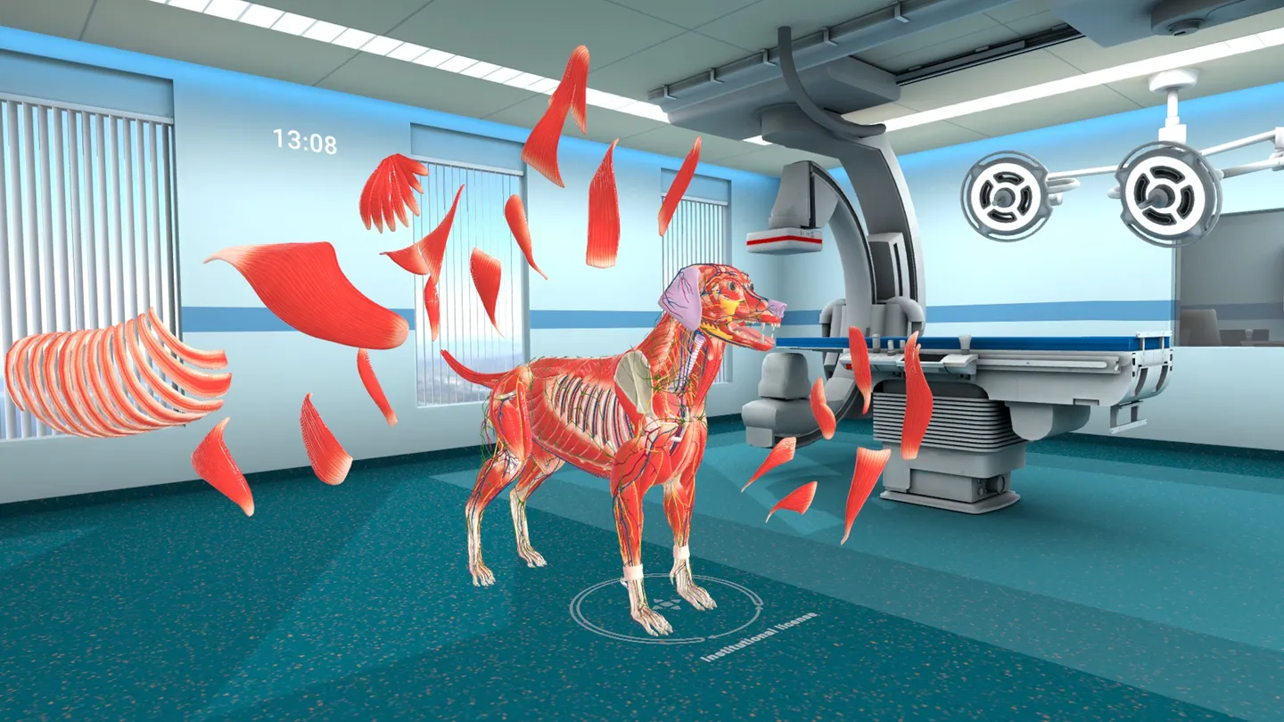 Animal Anatomy XR 5 Animal Anatomy XR تصویر 5
