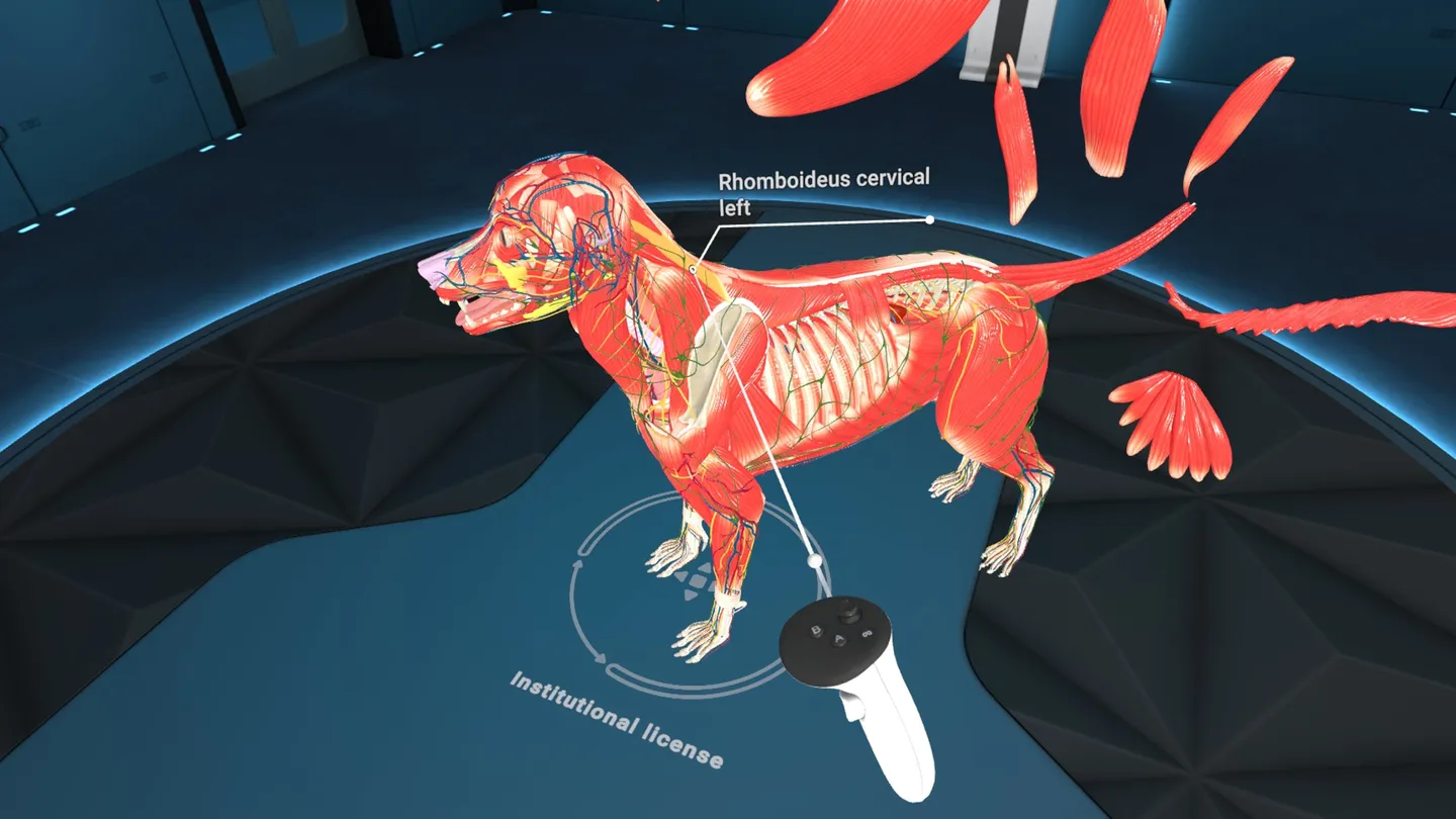 Animal Anatomy XR 6 Animal Anatomy XR تصویر 6